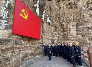 黨建引領創(chuàng)佳績 凝心聚力譜新篇——洛銅檢測實現(xiàn)利潤指標首季“開門紅”側(cè)記